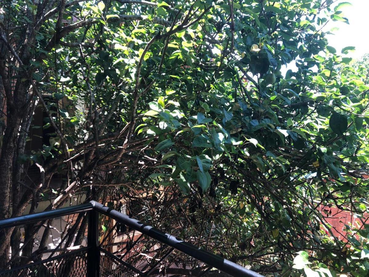 Cabanas Dorys Cataratas Del Iguazu Puerto Iguazu Ngoại thất bức ảnh