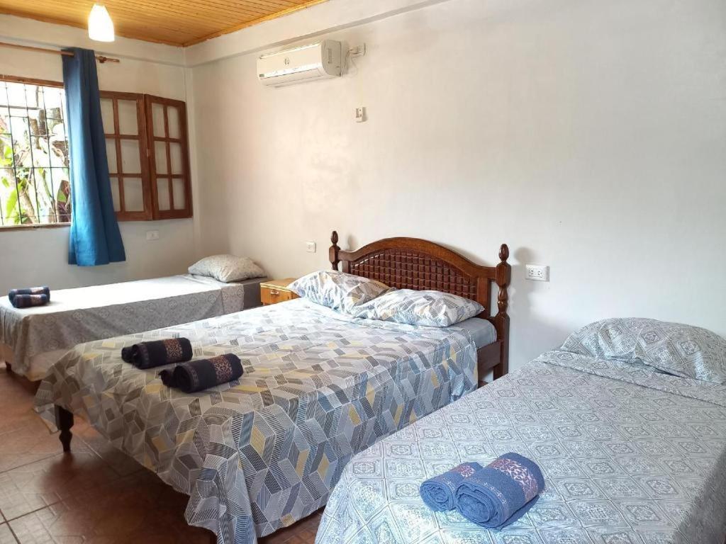 Cabanas Dorys Cataratas Del Iguazu Puerto Iguazu Ngoại thất bức ảnh